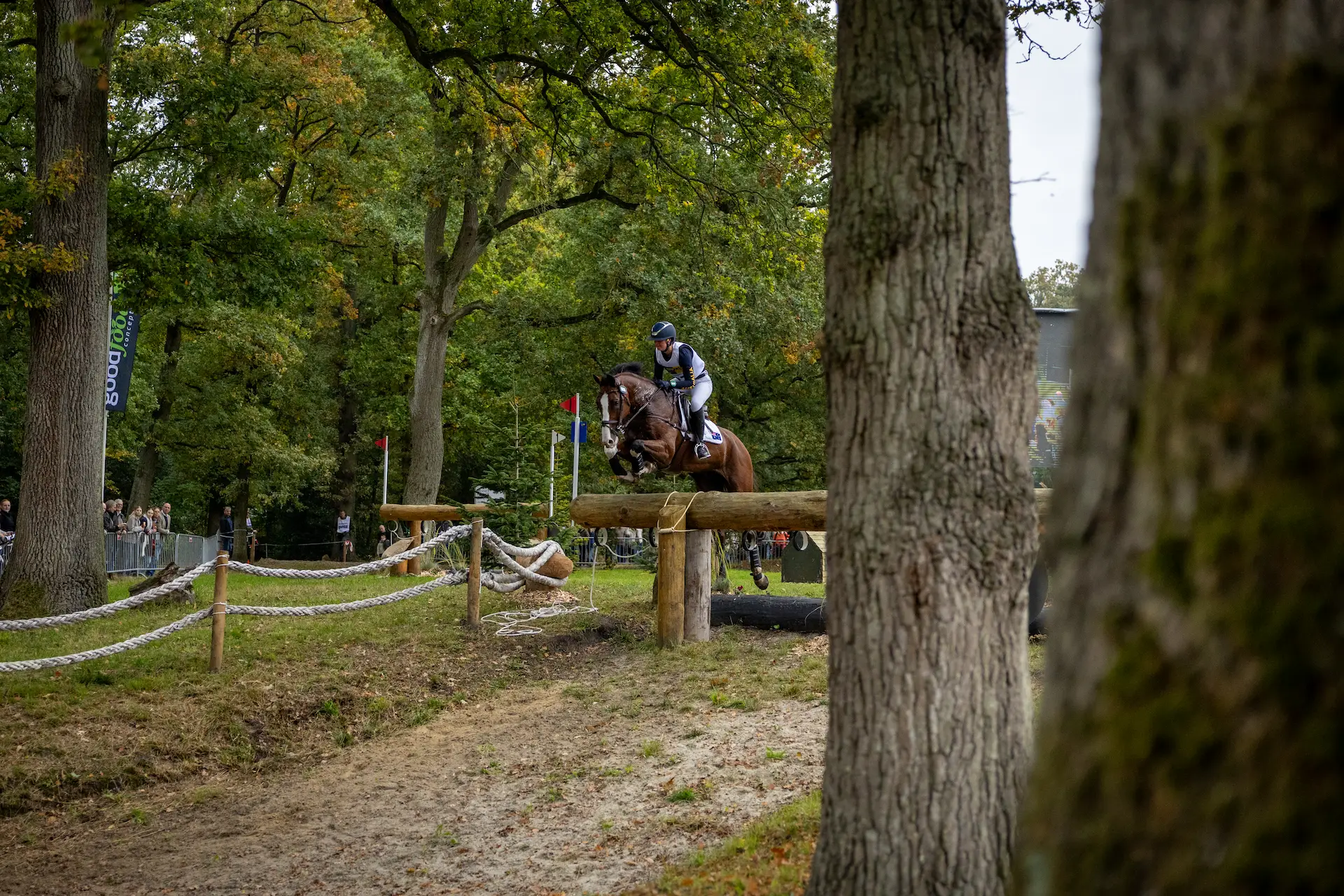 Sport fotografie sfeer